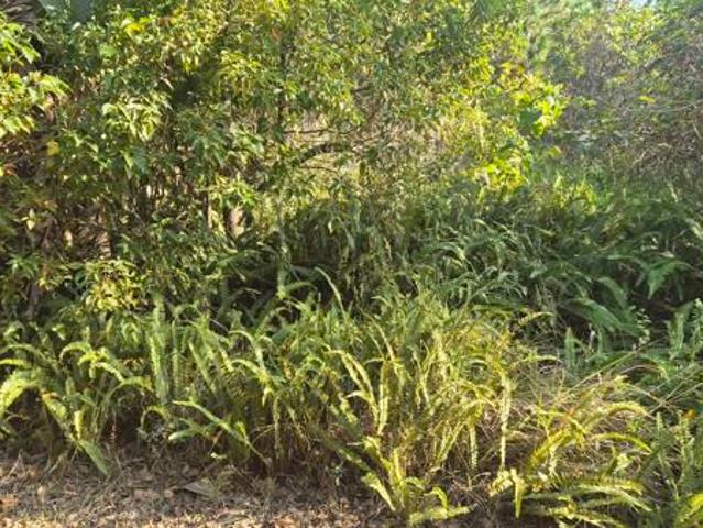 1 012 m² Land available in Leisure Bay