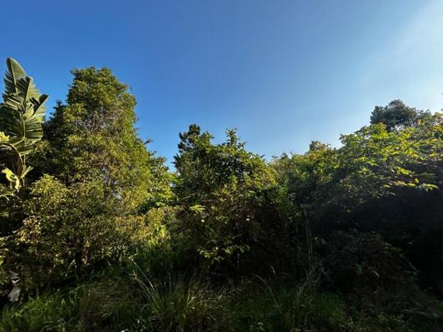 1 012 m² Land available in Leisure Bay