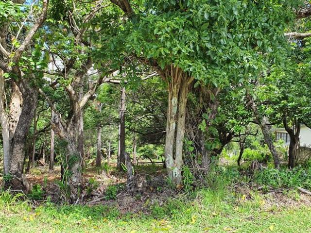1 015 m² Land available in Leisure Bay