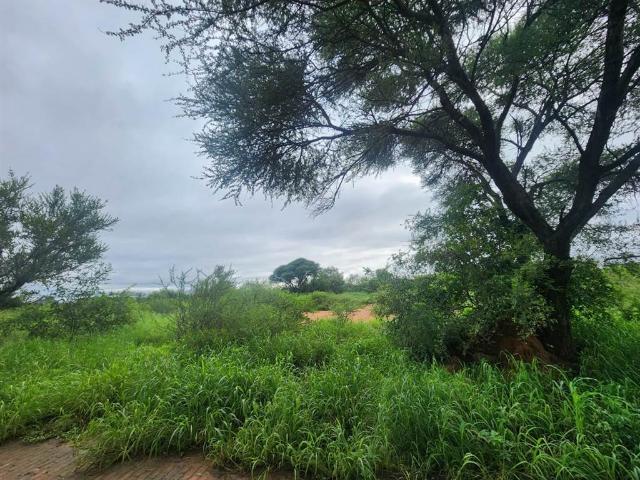 1 015 m² Land available in Thabazimbi