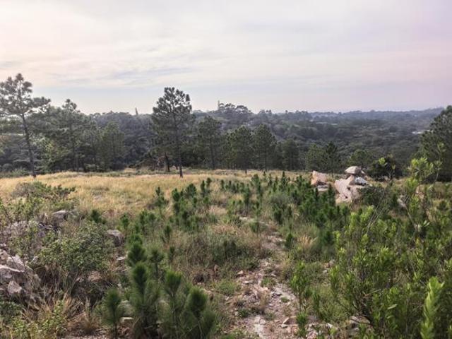 1 019 m² Land available in Margate