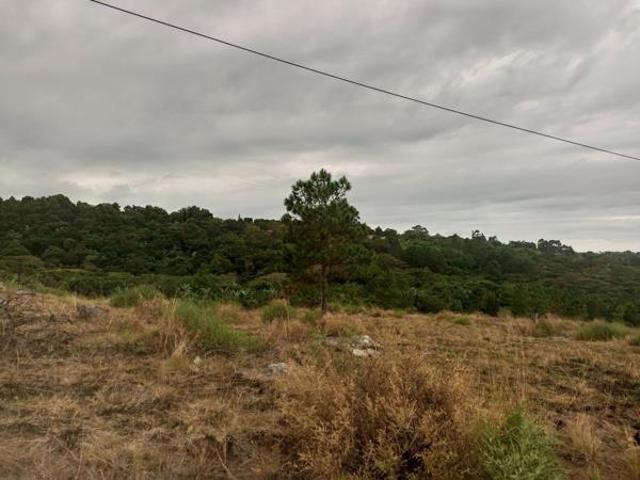 1 021 m² Land available in Margate