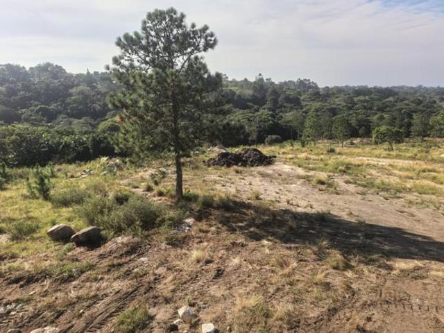 1 021 m² Land available in Margate