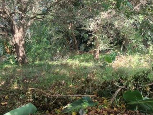 1 033 m² Land available in Woodgrange