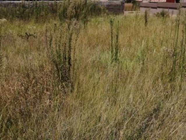1 034 m² Land available in Serala View