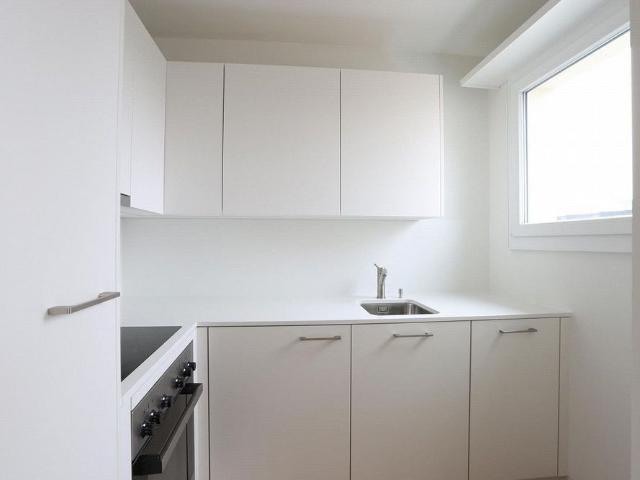 1.0 Room apartment in Basel