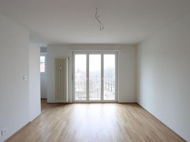 1.0 Room apartment in Basel