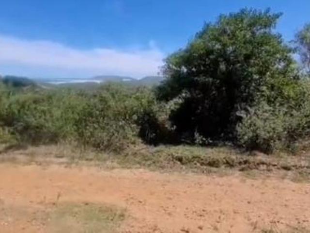1 146 m² Land available in Oyster Bay