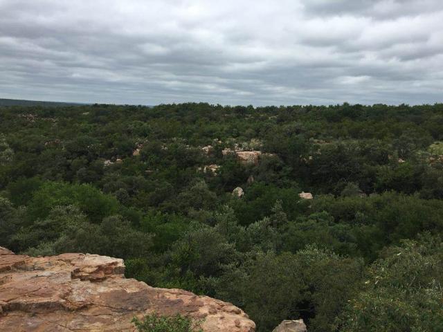 1 150 ha Farm in Lephalale Ellisras