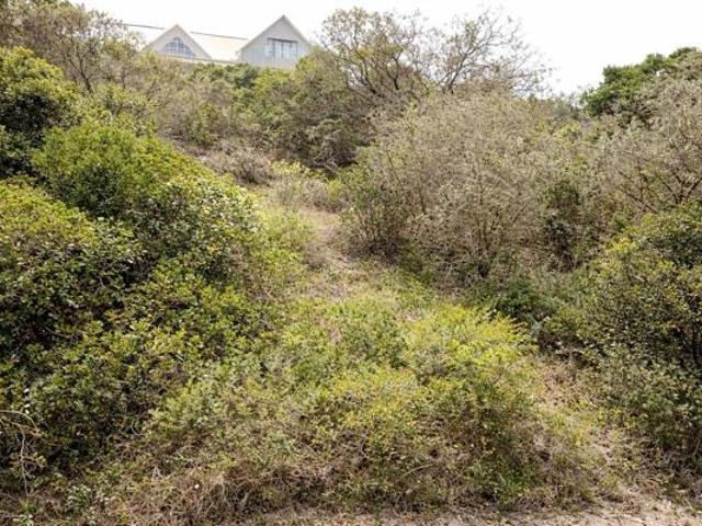 1 150 m² Land available in Port Alfred Central