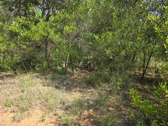1 155 m² Land available in Koro Creek Golf Estate