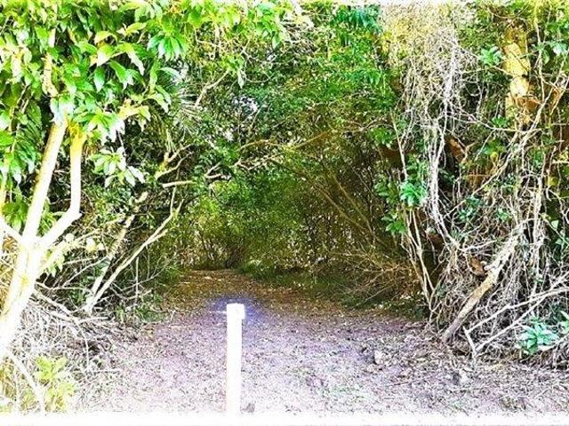 1 160 m² Land available in Hibberdene