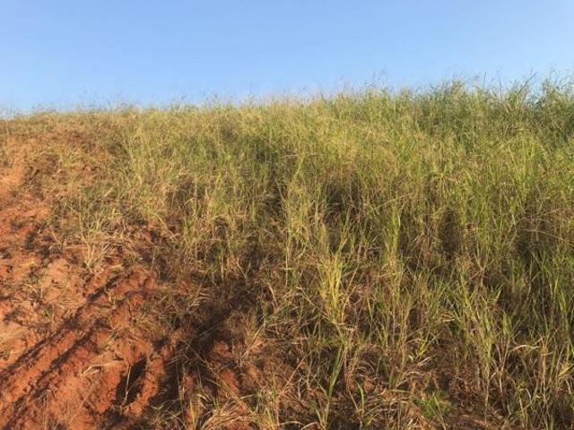 1 161 m² Land available in Zululami Luxury Coastal Estate