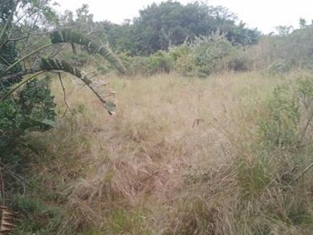 1 173 m² Land available in Hibberdene