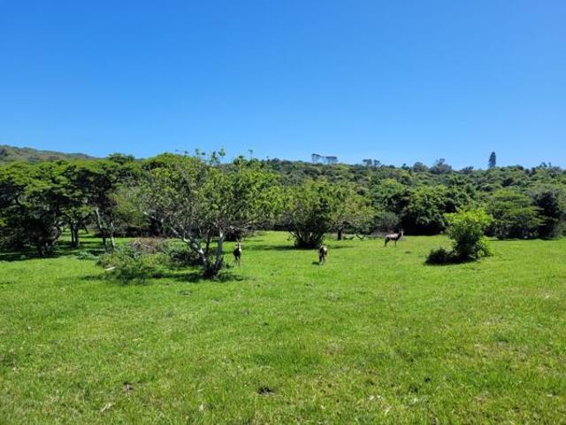 1 170 m² Land available in Cove Rock