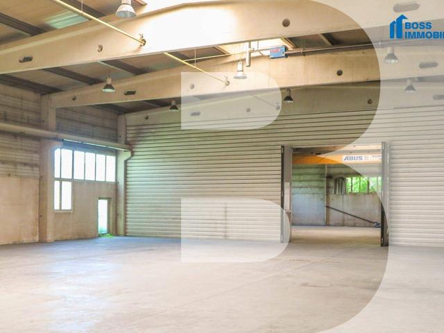 1.170m² Halle mit erstklassiger Verkehrsanbindung