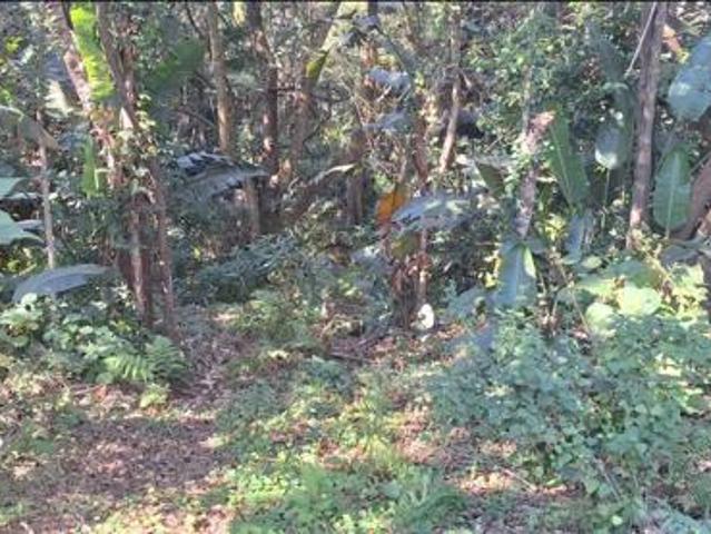 1 188 m² Land available in Leisure Bay