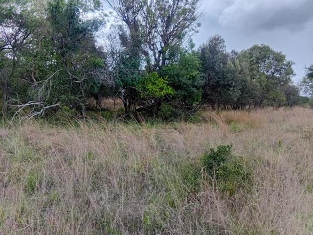 1 197 m² Land available in Koro Creek Golf Estate