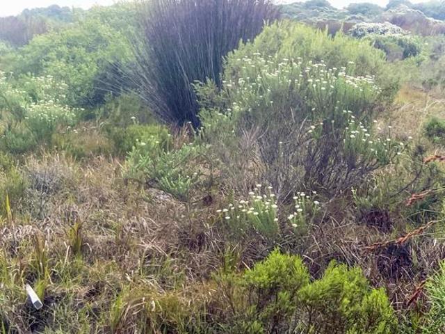 1 103 m² Land available in St Francis Links Golf Estate
