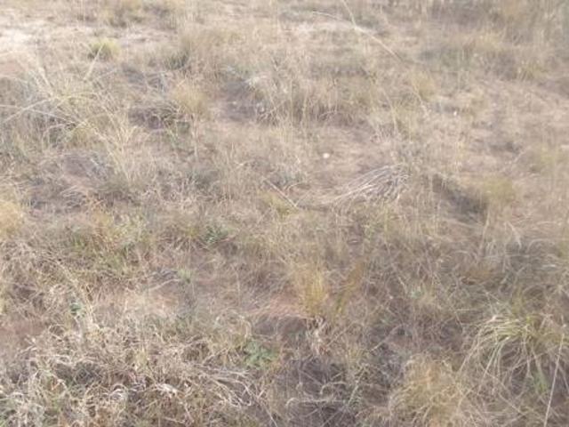 1 100 m² Land available in Mthatha
