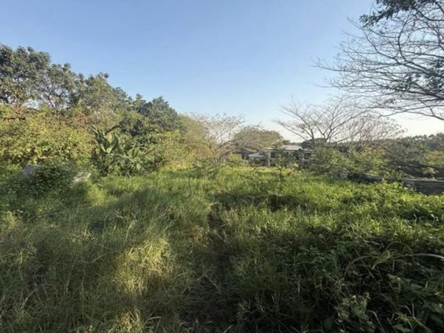 1 100 m² Land available in Mtunzini
