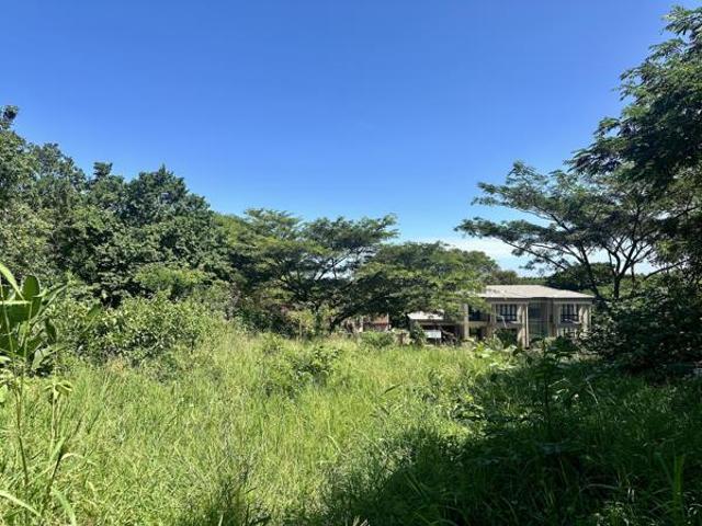 1 100 m² Land available in Mtunzini
