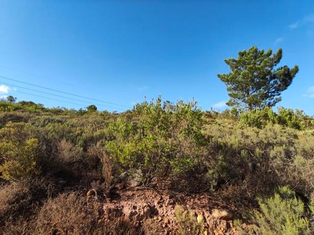 1 100 m² Land available in Tulbagh