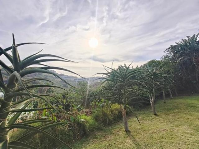 1 101 m² Land available in Sheffield Beach