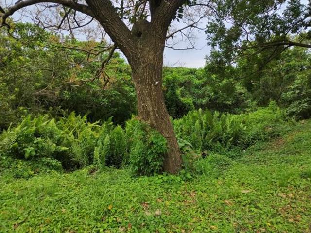 1 106 m² Land available in Margate