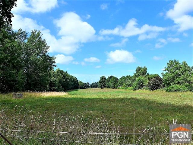 1 10 000 m², Kamień Pomorski