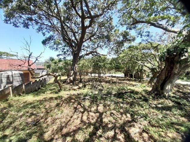1 110 m² Land available in Hibberdene