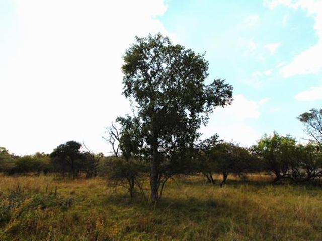 1 112 m² Land available in Modimolle Nylstroom