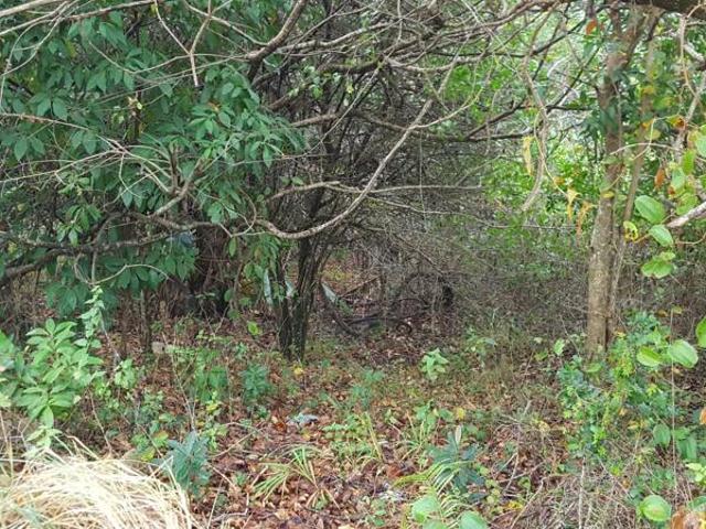 1 115 m² Land available in Hibberdene