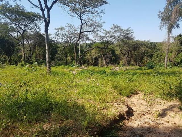 1 120 m² Land available in Hazyview