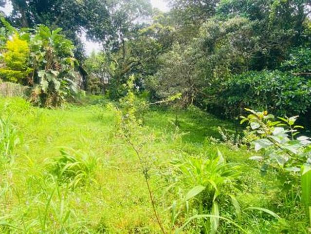 1 120 m² Land available in Leisure Bay