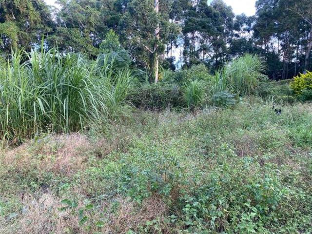1 128 m² Land available in Margate