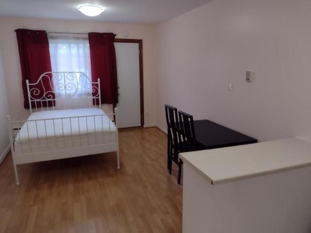 1 1/2 Montréal Le Plateau Mont Royal 1 250 $/mois