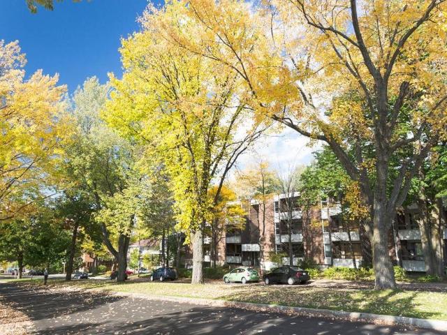 1 1/2 Ste Foy Tout inclus près du cégep Garneau 1er août