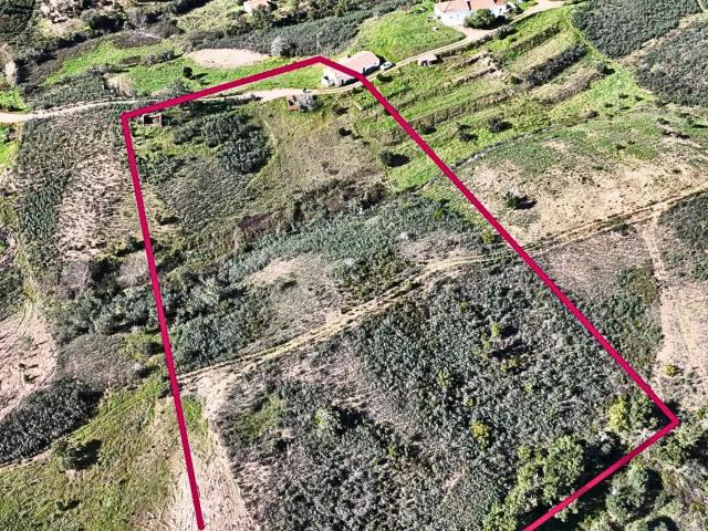 1.13 Hectares: Potencial para Moradia de Luxo ou Projeto Turístico de Elite