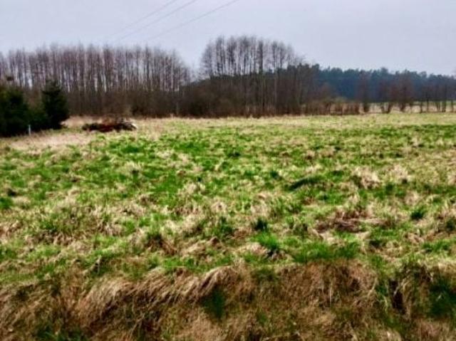 1 1 000 m², Pobierowo