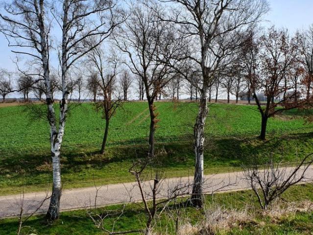 1 1 570 m², Trzebiatów