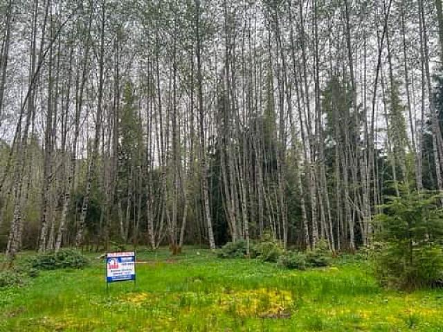 1.1 Acre Multi Residential Property In Bamfield 425000 Obo