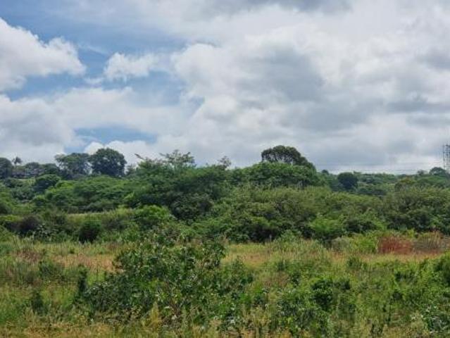 1.1 ha Land available in Ashburton