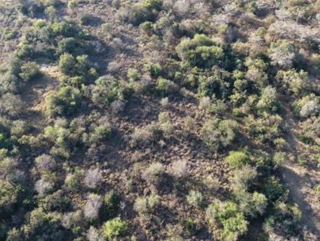 1.1 ha Land available in Bela Warmbaths