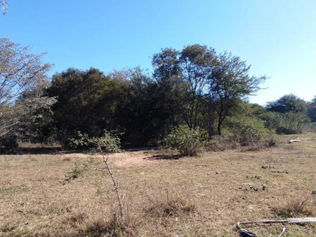 1 ha Land available in Bela Warmbaths
