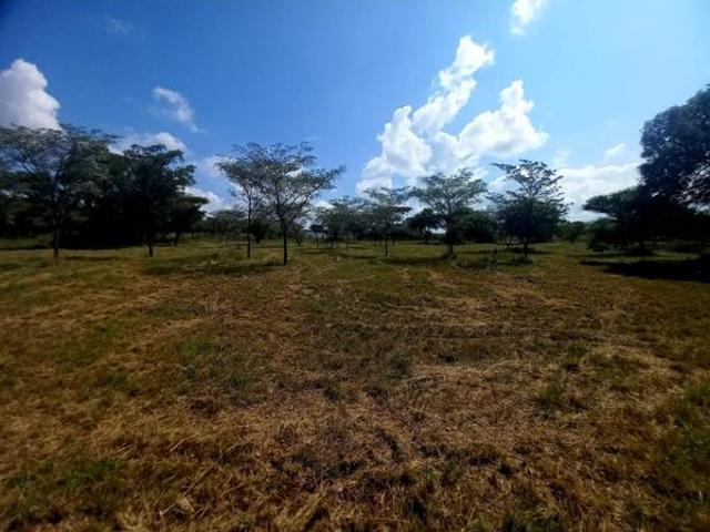 1.1 ha Land available in Bela Warmbaths