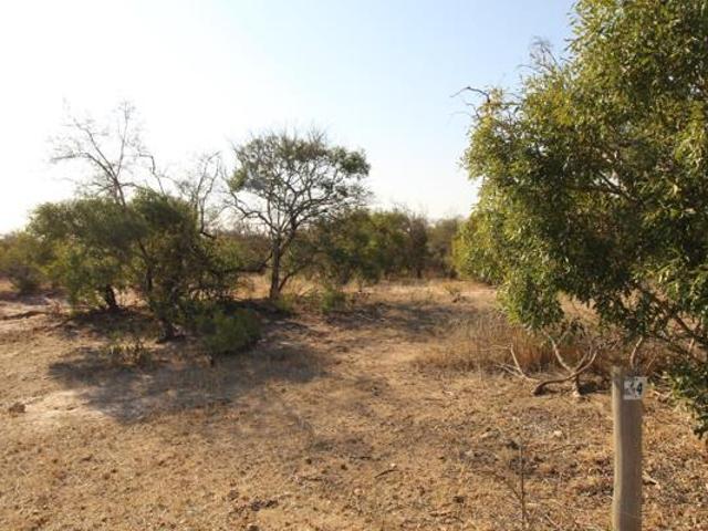 1.1 ha Land available in Hoedspruit