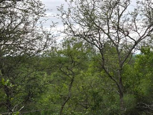 1.1 ha Land available in Hoedspruit