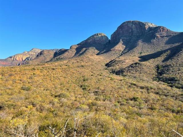 1.1 ha Land available in Hoedspruit
