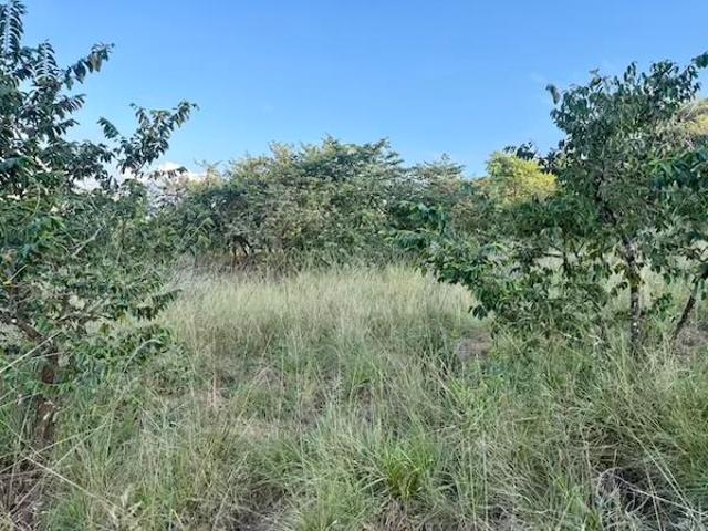 1.1 ha Land available in Likweti Bushveld Farm Estate